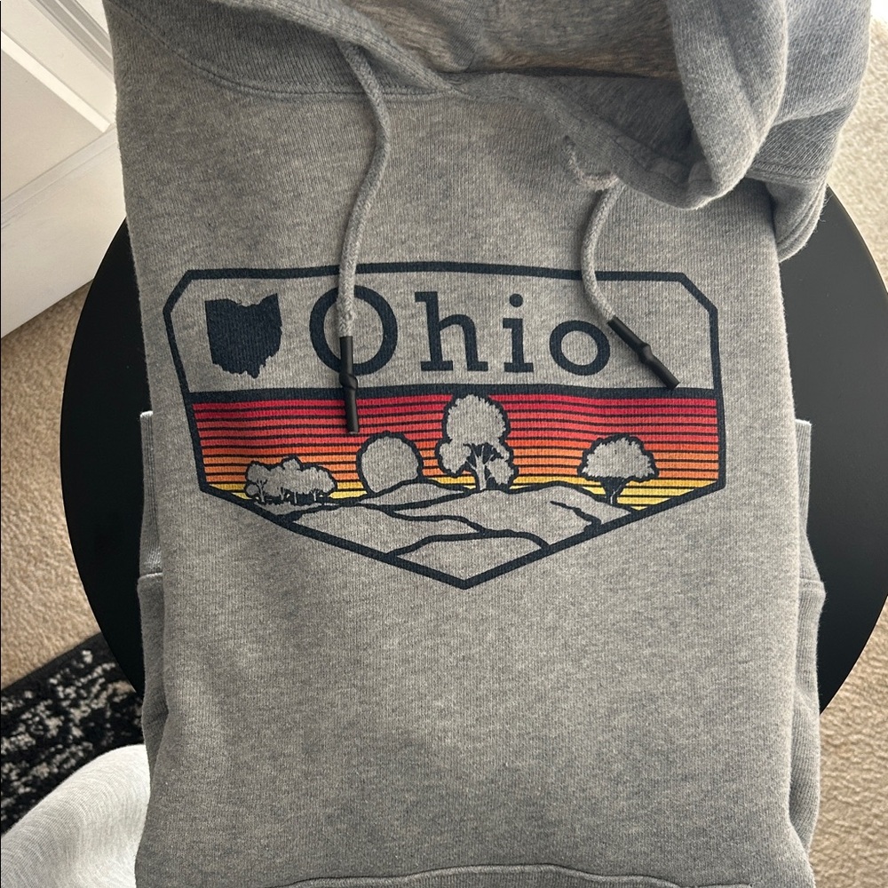 Gray Ohio Graphic Hoodie